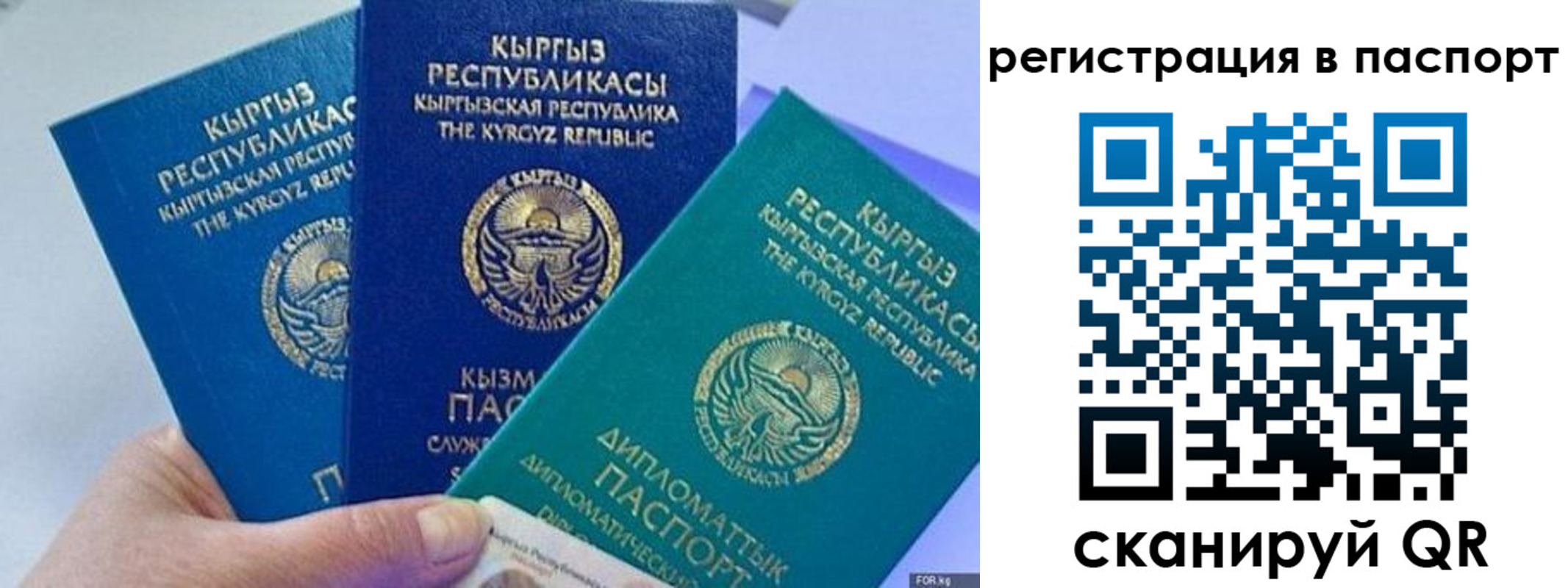 прописка 2025 в Ростовской области
